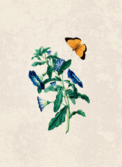 Handmade botanical flower illustration, natural plant art isolated on rustic beige background, decorative floral print.