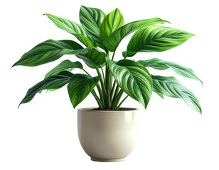 Modern Minimalist House Front View, Clean Lines, Isolated on Transparent Background