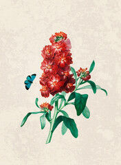 Handmade botanical flower illustration, natural plant art isolated on rustic beige background, decorative floral print.