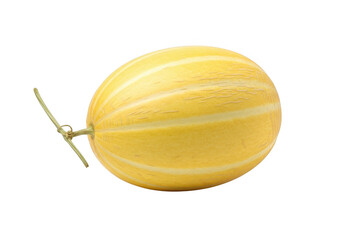 A yellow melon with light stripes and a stem