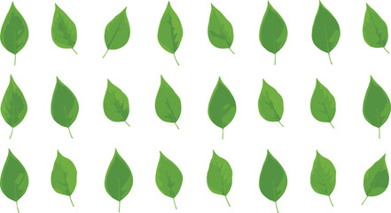 Green leaf vector set featuring fresh foliage shapes for eco nature botanical and environmental design illustrations