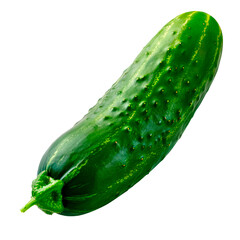 Fresh green cucumber whole vegetable in realistic style isolated on transparent background