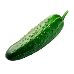 Fresh green cucumber whole vegetable in realistic style isolated on transparent background