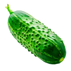 Fresh whole cucumber with textured green skin in realistic food style isolated on transparent background