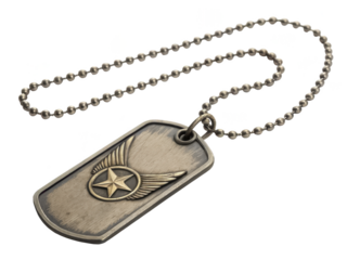 Vintage military dog tag necklace with star and wings on chain