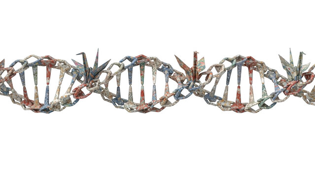 D N A double helix structure formed from colorful origami paper cranes on png isolated transparent background black background - Powered by Adobe