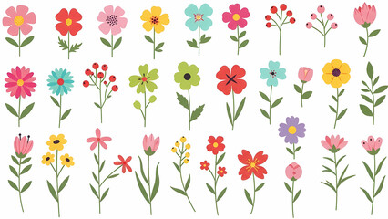 Obraz premium Colorful Flower Set Vector Illustrations, Floral Elements, Spring Design