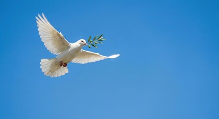 Fototapeta premium Dove of peace flying in the clear blue sky carrying an olive branch, symbol of hope and reconciliation