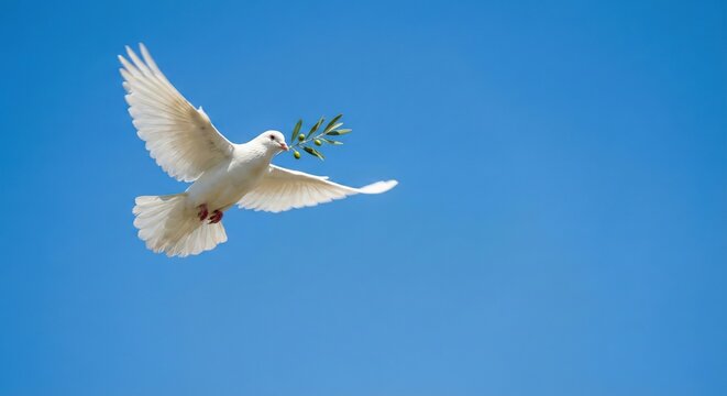 Dove of peace flying in the clear blue sky carrying an olive branch, symbol of hope and reconciliation - Powered by Adobe
