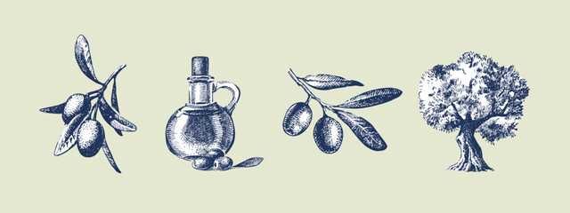 Vintage sketch set of olive branche, bottle of oil, tree. Extra virgin, farm product, Mediterranean cuisine, cosmetic, organic farm, packaging label. Hand drawn vector illustration.