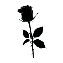 Black silhouette rose isolated on white background flower illustration