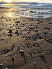 footprints on the beach
