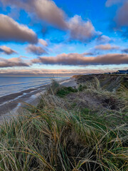 sand dunes on the beach