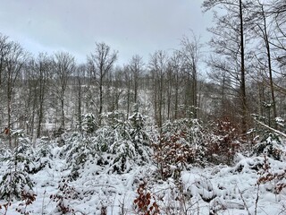 Winterspaziergang in Bad Sachsa im Harz: der Schmelzteich und die evangelisch-lutherische St.-Nikolai-Kirche