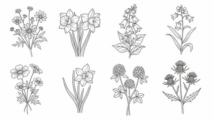 Floral Line Art Set, Botanical Drawings, Flowers Clipart, Black and White Vector