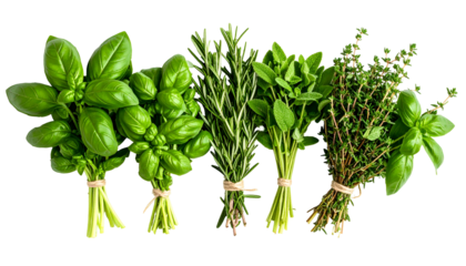 Five herb bundles tied with twine, arranged horizontally against a dark background