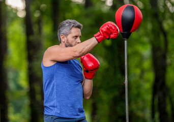 Boxer in sportswear. Exercising and punching. Sportsman practicing boxing. Sportsman boxing punching bag outdoor. Sport man boxing punching bag. Strong athlete man boxer. Heavy bag routine