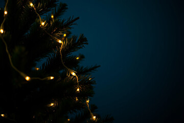 christmas tree on a black background