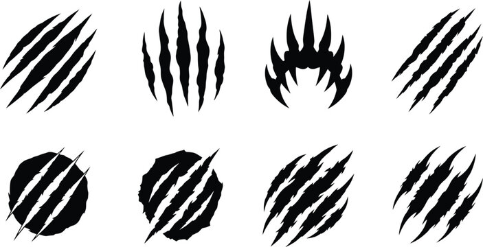Black claw scratches and marks collection on transparent background silhouette