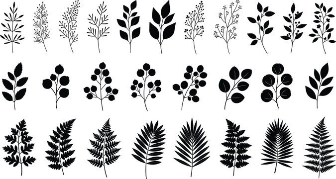 Botanical leaf silhouette vector set featuring branches foliage plants and decorative floral nature elements