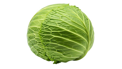 Fototapeta premium Single whole green cabbage head with visible leaf texture and round shape