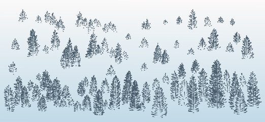 Background with coniferous forest with blue fog. 
