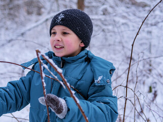 Young Boy Shaking Snow from Forest Branches in Winter - Playful Winter Activity: A Child in a Blue Jacket Enjoying Fresh Snowfall in the Woods