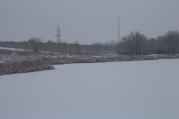 A snowy field with trees and power lines in the distance