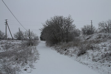 A snowy landscape with trees