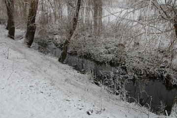A snowy forest with trees