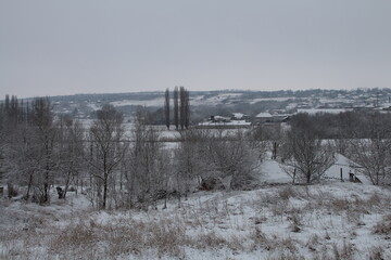 A snowy field with trees and buildings