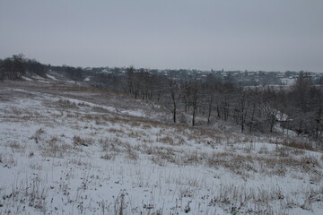 A snowy field with trees