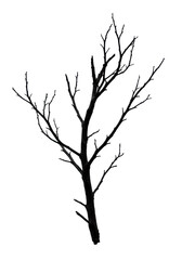 Fototapeta premium A stark, gnarled, deep black silhouette of a dry, intricately twisted deadwood branch, centered against a transparent, high-key studio background with clean copy space. Concept of existential