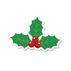 Green holly leaves with three red berries and png isolated transparent background white outline on black background