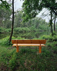 Naklejka premium Empty wooden bench overlooking a calm forest river. A centered, eye-level shot of a clean, light-brown wooden bench overlooking a calm lake, the water reflects a dense wall of lush green trees.