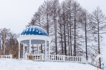 A blue dome gazebo sits in the snow next to a forest