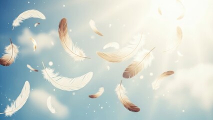 Soft white feathers floating in a blue sky. Gentle bird plumage falling in bright sunlight. Freedom and lightness concept