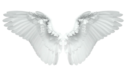 Pristine, outstretched white wings against a transparent background. Feathered, ethereal