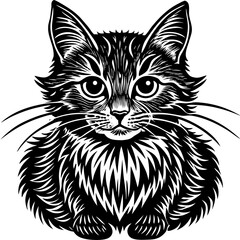 Black and white kitten portrait