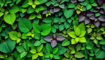 Vibrant green leaves in diverse shapes & textures, creating a lush collage, earth, leaves