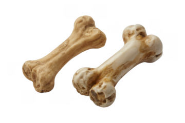 Two dog bones animal bones pet food isolated on a transparent background