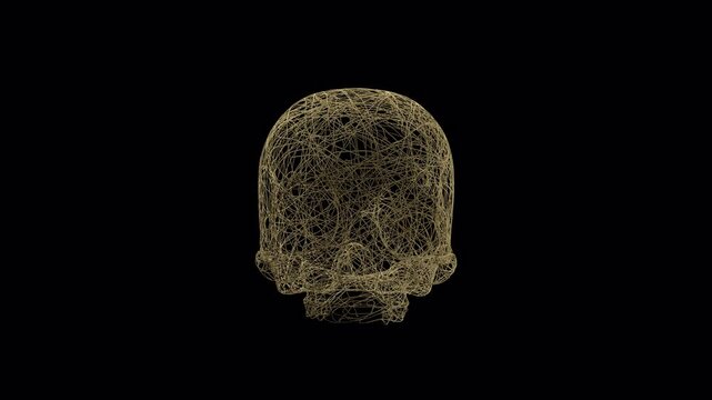 Abstract Skull Formed from Flowing Splines with Alpha Channel