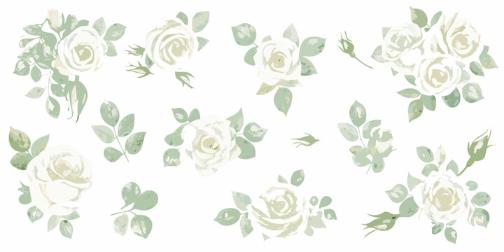 Watercolor floral arrangement featuring delicate white roses and lush green leaves