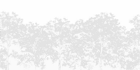 Obraz premium A grayscale silhouette of a dense forest with tall slender trees
