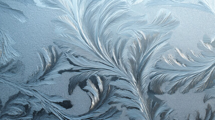 Frosty window with a leafy design