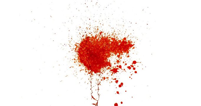 Blood Splash in Super Slow Motion. Isolated on White Background. High-Speed Cinematic Shot of Blood Droplets Forming Abstract Stain.