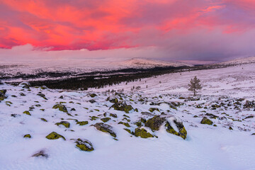 Snow covered mountain with sunrise in Sweden creates a colorful sky over a white landscape