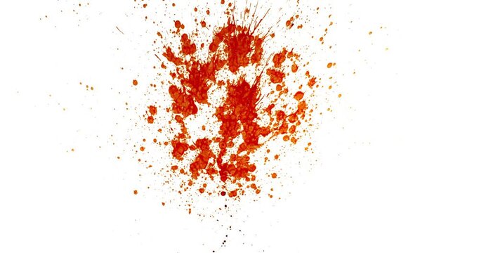 Blood Splash in Super Slow Motion. Isolated on White Background. High-Speed Cinematic Shot of Blood Droplets Forming Abstract Stain.