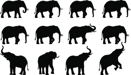 Elephant silhouette collection, animal poses, wildlife illustration, black elephant shapes, trunk movement, safari art, nature icon set, vector graphics ©  Arfina