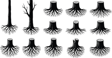 Tree Trunk And Stump Vector Silhouette Set Featuring Exposed Roots Cut Timber Dead Wood Logging Forestry Elements And Environmental Nature Icons © astroDev